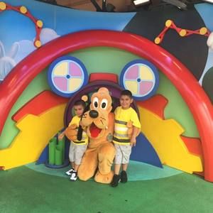 Meet your Posher, Daisy